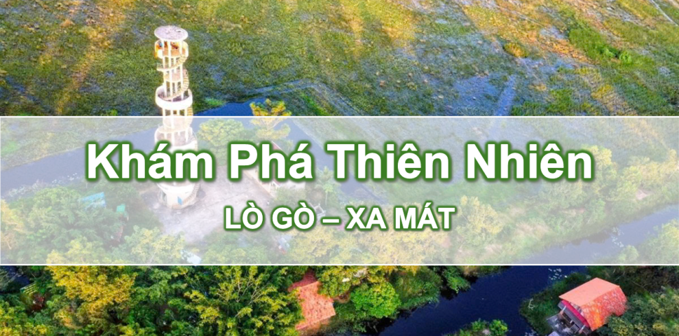 LG Color Tour - Khởi Nguồn Giá Trị Sống Tháng 10 1, 2026