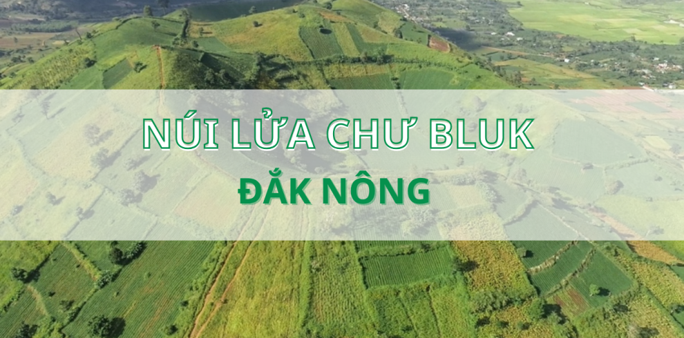 Cover tour web 10 Color Tour - Khởi Nguồn Giá Trị Sống Tháng 10 1, 2026