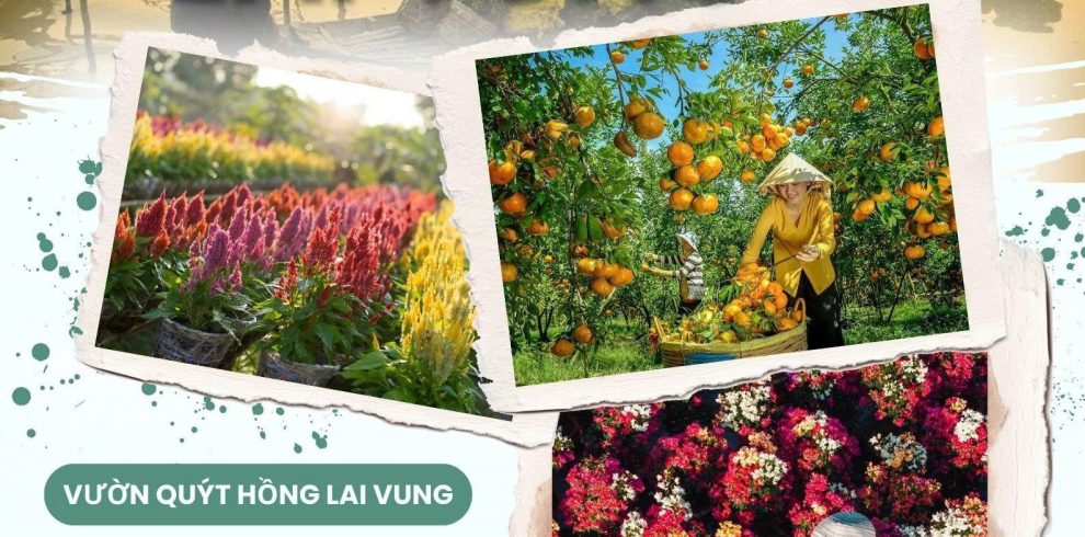z7295093283383 49daebe8ba4dab79528f7776437ccec5 Color Tour - Khởi Nguồn Giá Trị Sống Tháng 10 1, 2026
