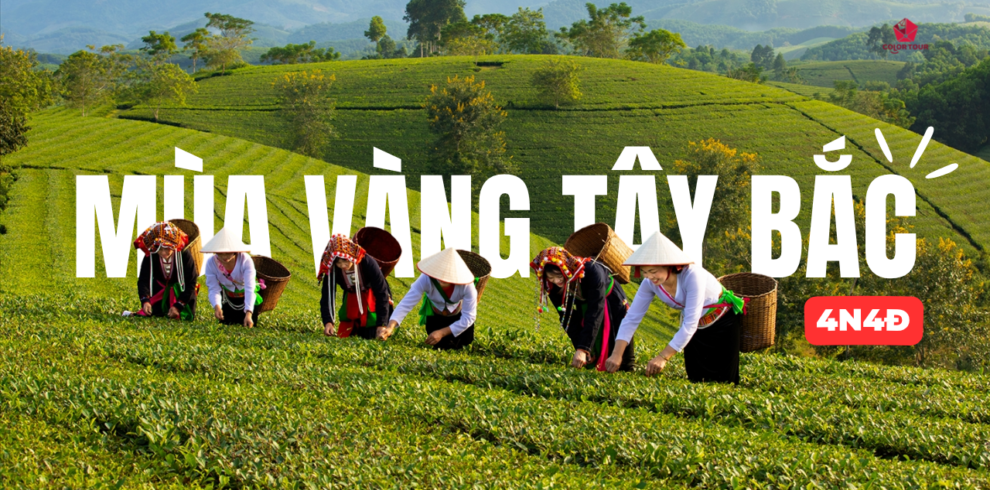 Mua vang tay bac Color Tour - Khởi Nguồn Giá Trị Sống Tháng 10 1, 2026